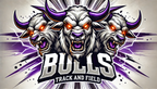 BULLS3