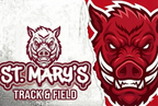 RAZORBACKS2