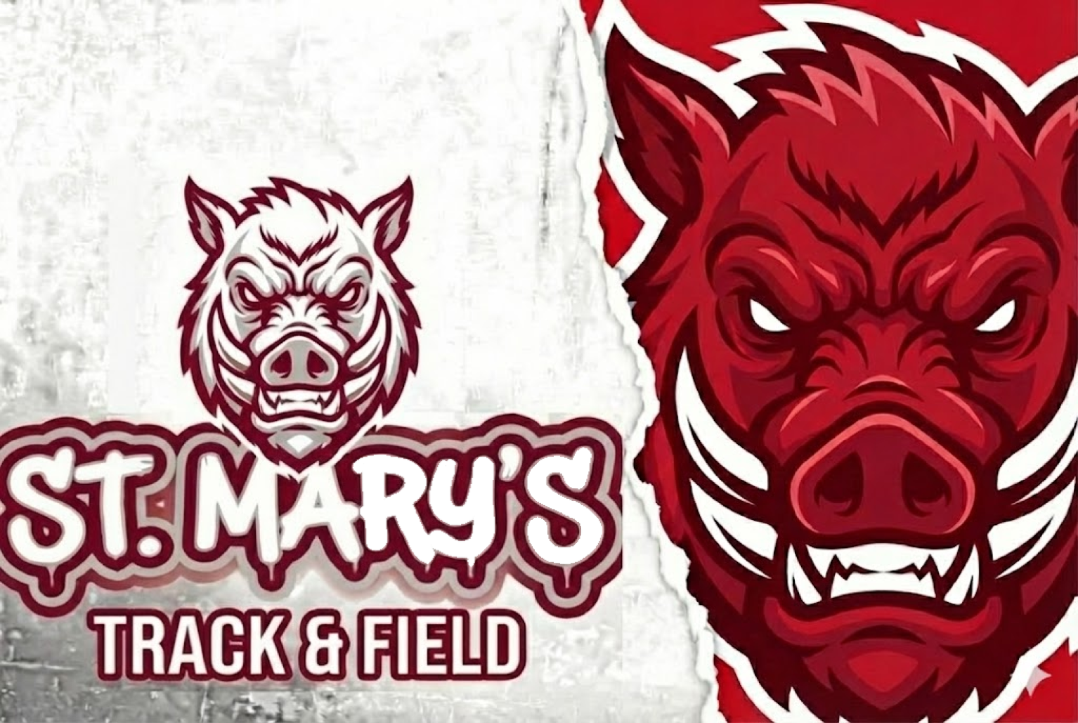 RAZORBACKS2
