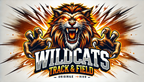 WILDCATS2A.png